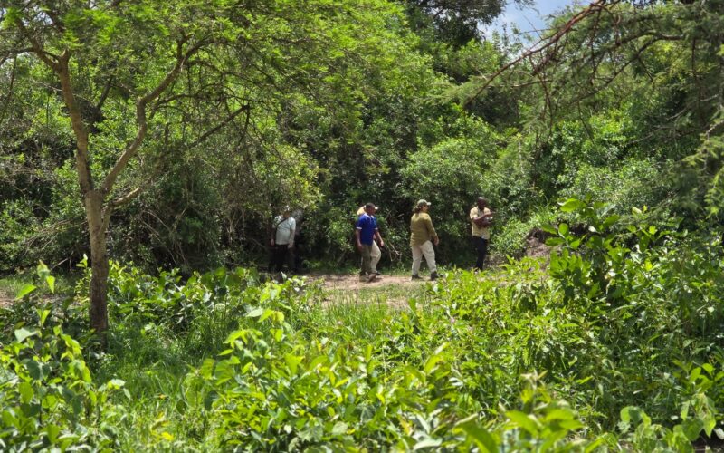 7-Day Burundi Exploration Safari 7-Day Burundi Exploration Safari