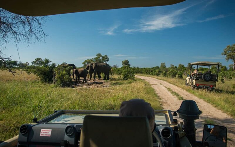 Africa Safari Packages Africa Safari Packages