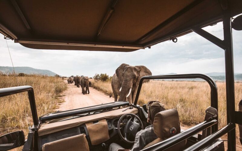 9-Day Kenya Wildlife Road Safari 9-Day Kenya Wildlife Road Safari