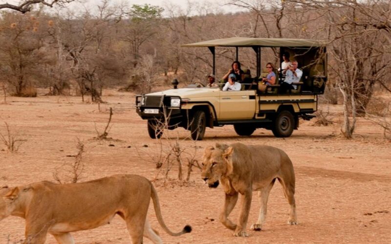 8-Day Tanzania Northern Circuit Safari 8-Day Tanzania Northern Circuit Safari